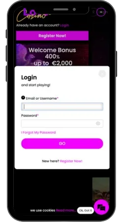 Love Casino Interface Login