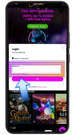 Insert your password